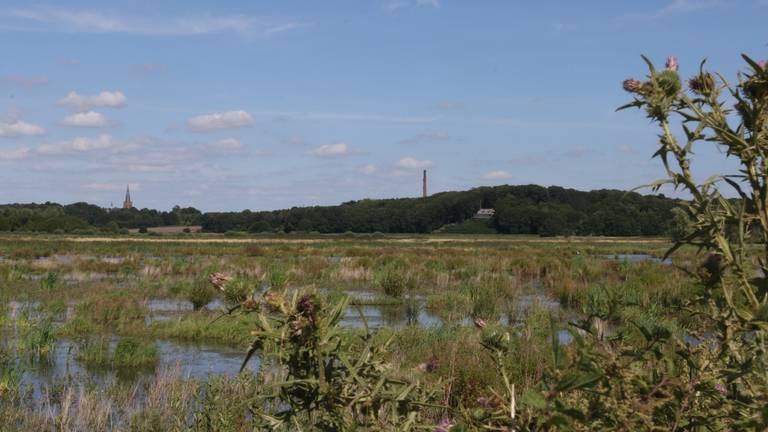 De Brabantse Wal gezien vanuit de Noordpolder in Ossendrecht. 