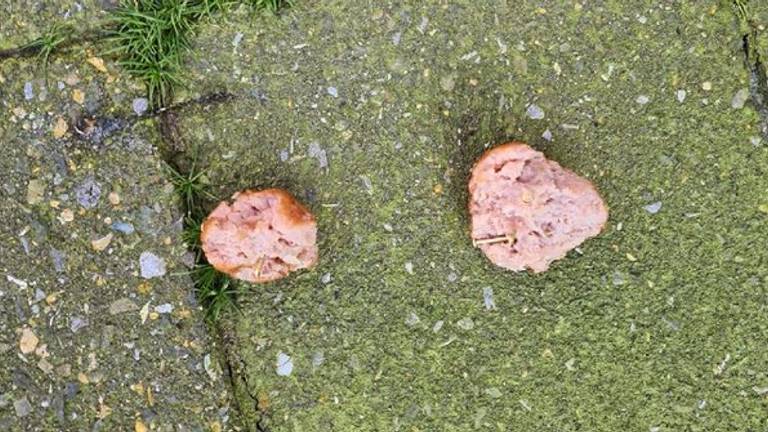 Gehaktballetjes met spijkers in Rijsbergen