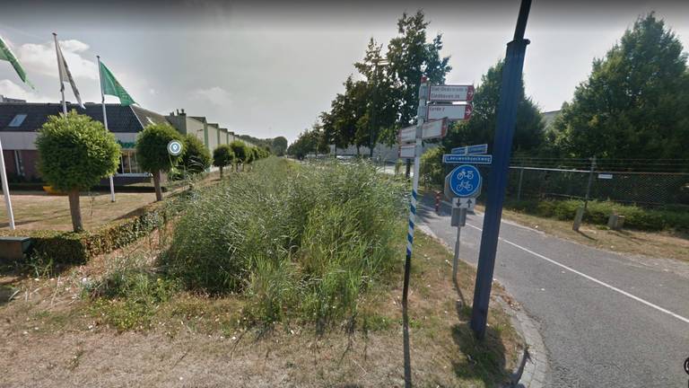 Een deel van het Gazellepad in Veghel (afbeelding: Google Streetview).