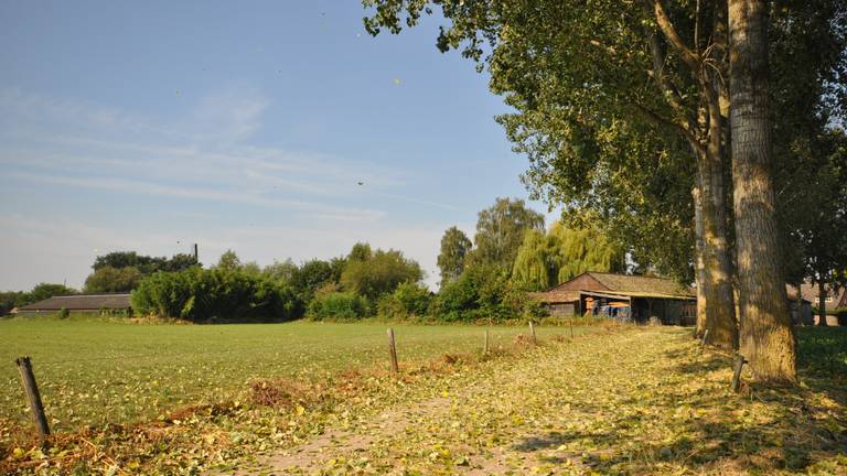 Het was de warmste 10 augustus in Brabant sinds het begin van de metingen (foto: Ben Saanen).