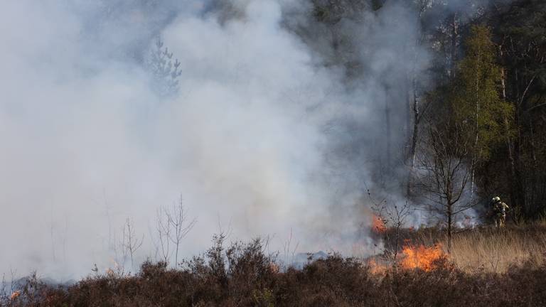 Brand op de Vughtse Heide (foto: Bart Meester/SQ Vision)