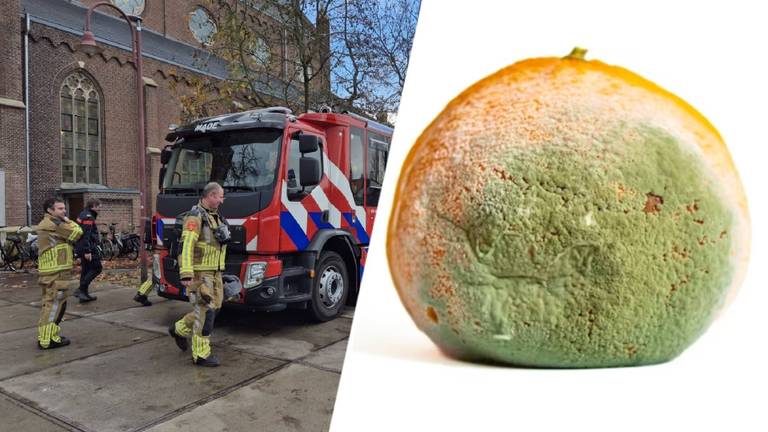 Foto's: Brandweer Made (links), mandarijn is niet de mandarijn die gevonden is (foto: Freepik).