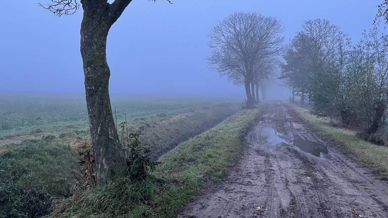 Hier moet het distributiecentrum komen (foto: Alice van der Plas).