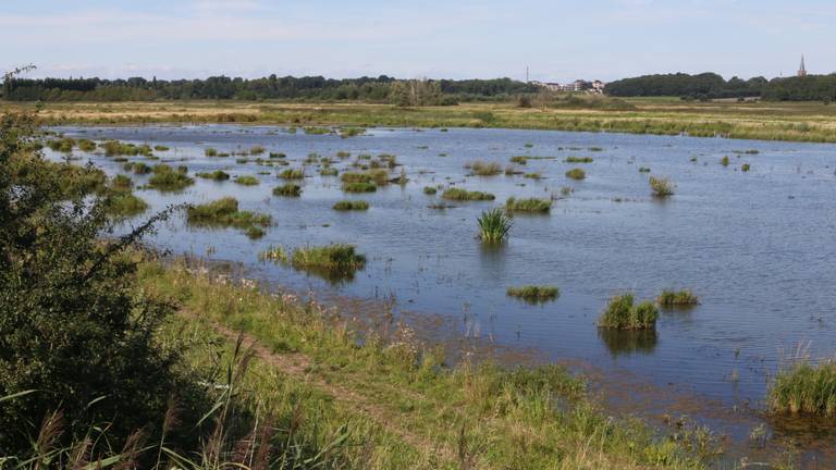 De helft van de stikstof op de Brabantse Wal - hier gezien vanuit de Noordpolder - komt uit België. 