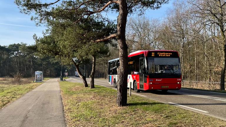 Lijn 11 rijdt de halte voor het azc in Budel voorbij (Foto: Alice van der Plas)