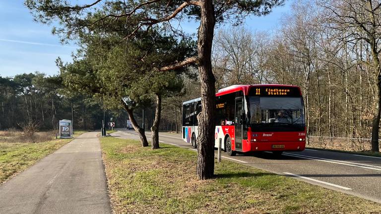 Lijn 11 rijdt de halte voor het azc in Budel voorbij (Foto: Alice van der Plas)