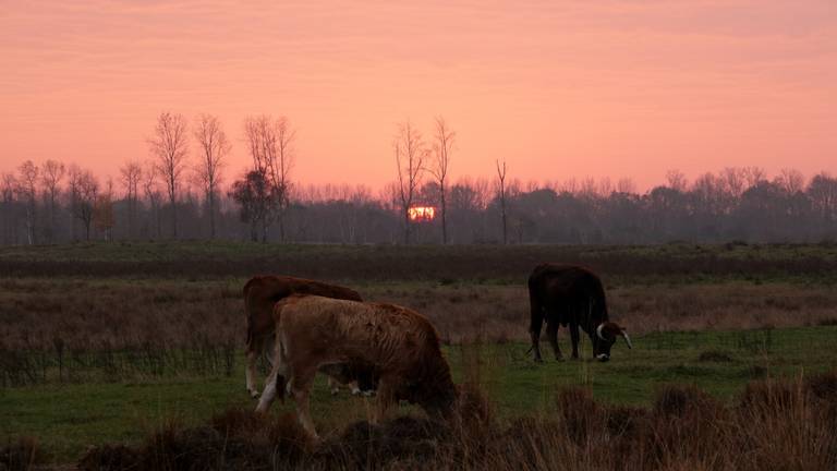 Een mooie zonsopkomst in het zuidoosten van Brabant (foto: Ben Saanen).