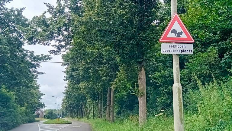 Dit waarschuwingsbord aan de Willem Dreesweg in Roosendaal is gestolen (foto: Omroep Brabant).