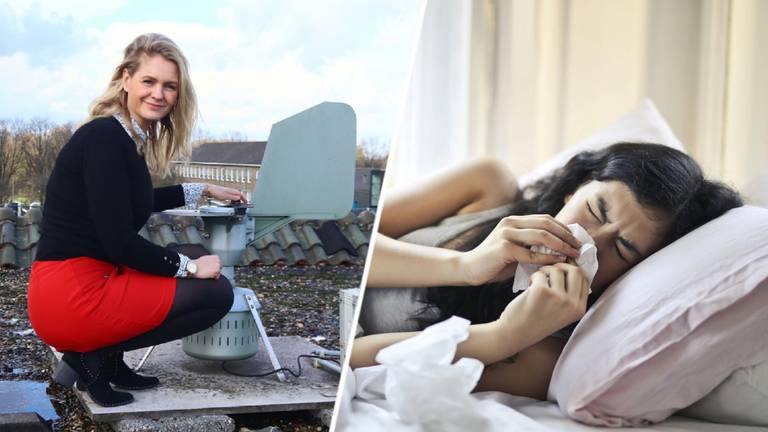 Mieke Koenders en haar collega's meten de pollen met speciale apparatuur van Elkerliek (foto rechts: Pexels).