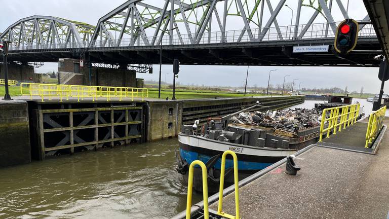 De eerste schapen zijn over de dam in Grave (foto: Jan Waalen).