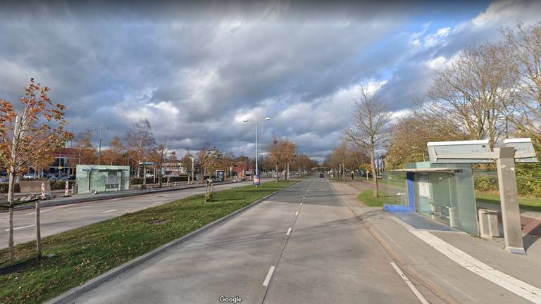 Het bushokje bij de ijsbaan in Tilburg (foto: Google Streetview).