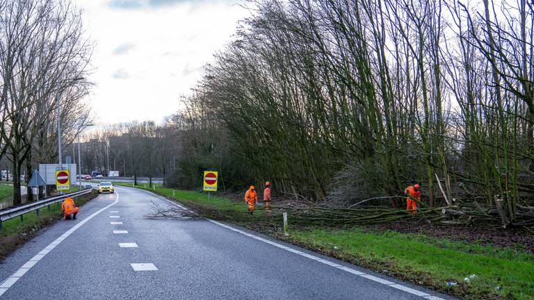 Omroep Brabant