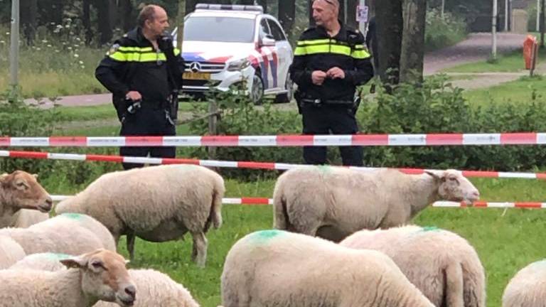 Wijkagent Johan (rechts) en zijn collega (foto: Wijkagent Johan Damen).