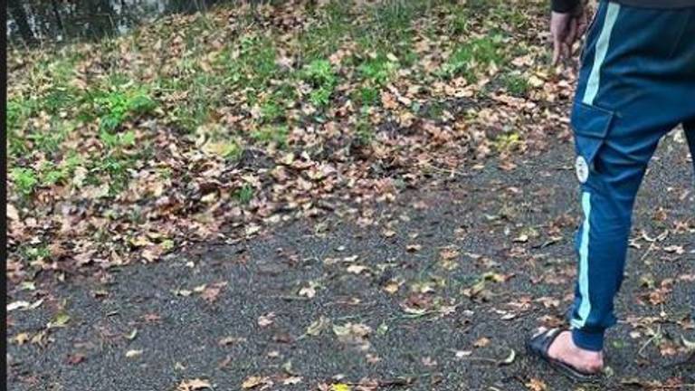 De verdachte werd bij de kinderboerderij aangehouden (foto: Instagram wijkagenten Den Bosch buurt Noord).