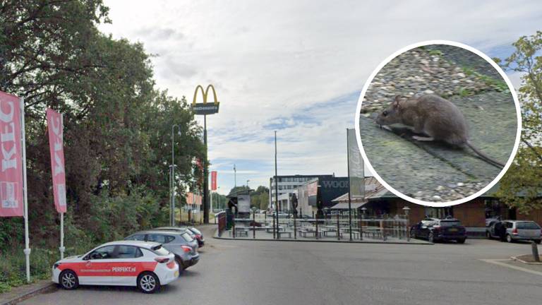 Bij de fastfoodketens wemelt het opnieuw van de ratten (foto: Google Streetview en Henk Smeets).