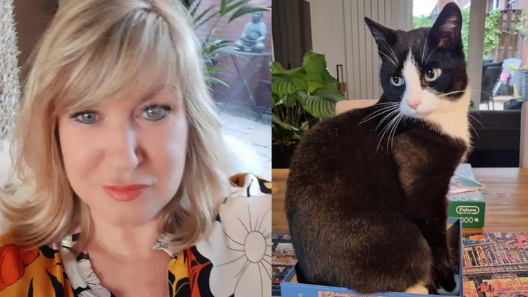 Alexandra krijgt verkeerde kat mee naar huis door foutje pension