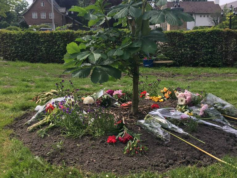 Er lagen al voor elf uur zondagmorgen bloemen bij de Anne Frankboom in Waalwijk (foto: Jos Verkuijlen).