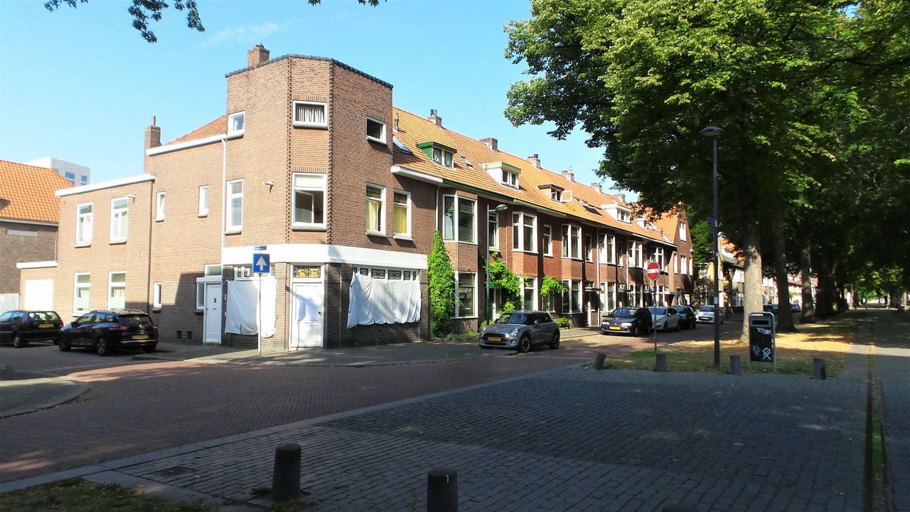 Meer lakens buiten dan binnen (foto: Henk Voermans).