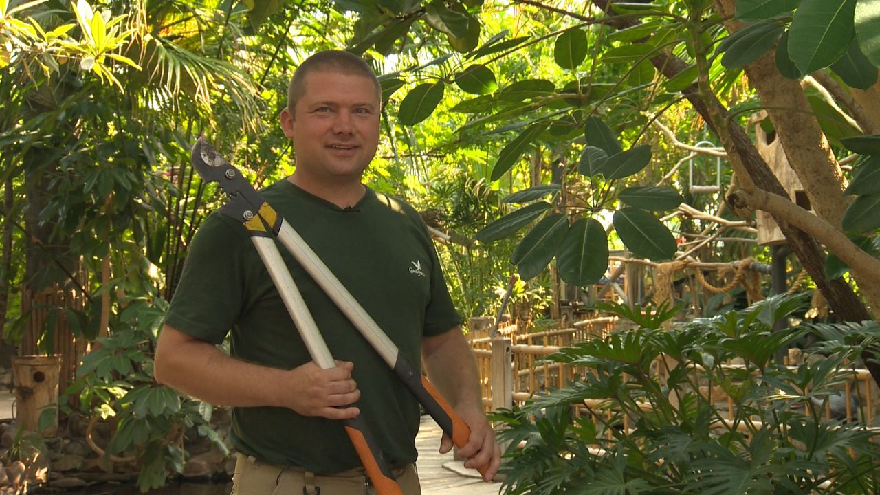 Jan Henselmans werkt al 15 jaar in de groenvoorziening.