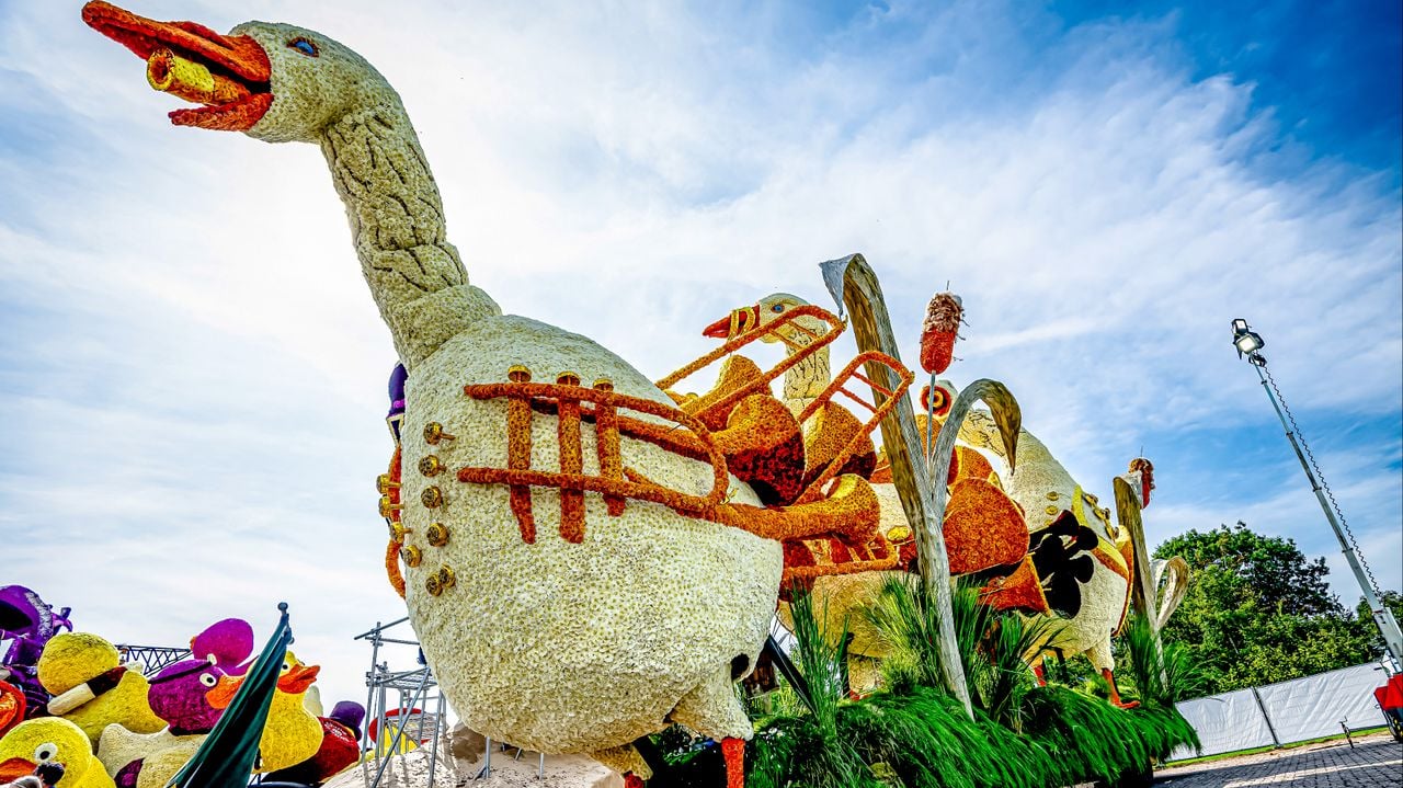 'Ganzenpas' van Buurtschap Markt (foto: Marcel van Dorst/Eye4images)