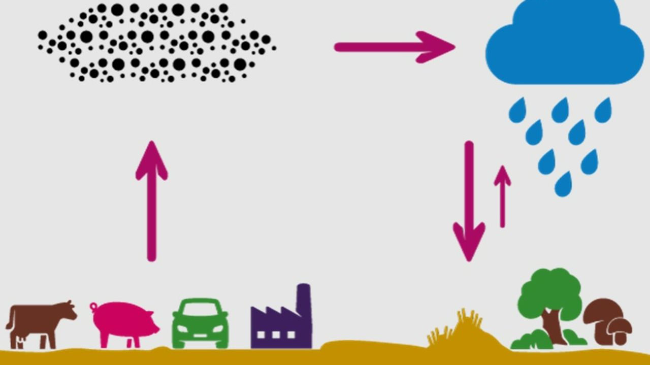 Bron: Rijksoverheid.