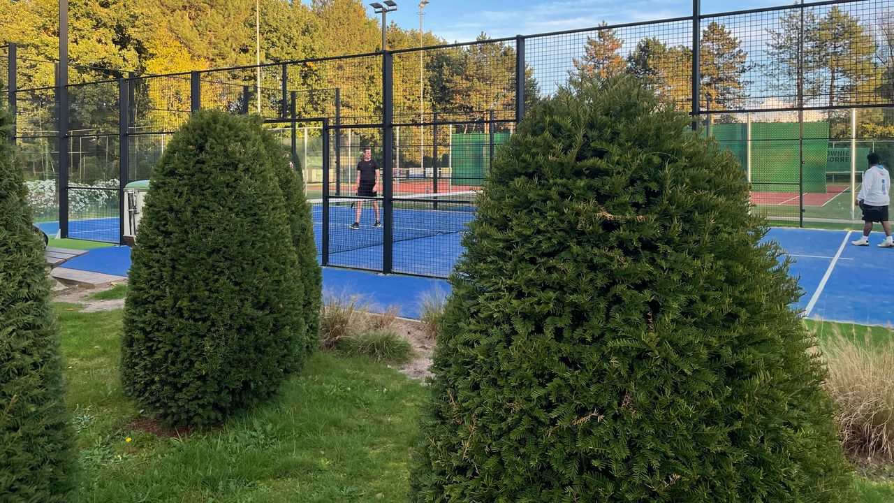 Taxus planten kunnen het geluid dempen