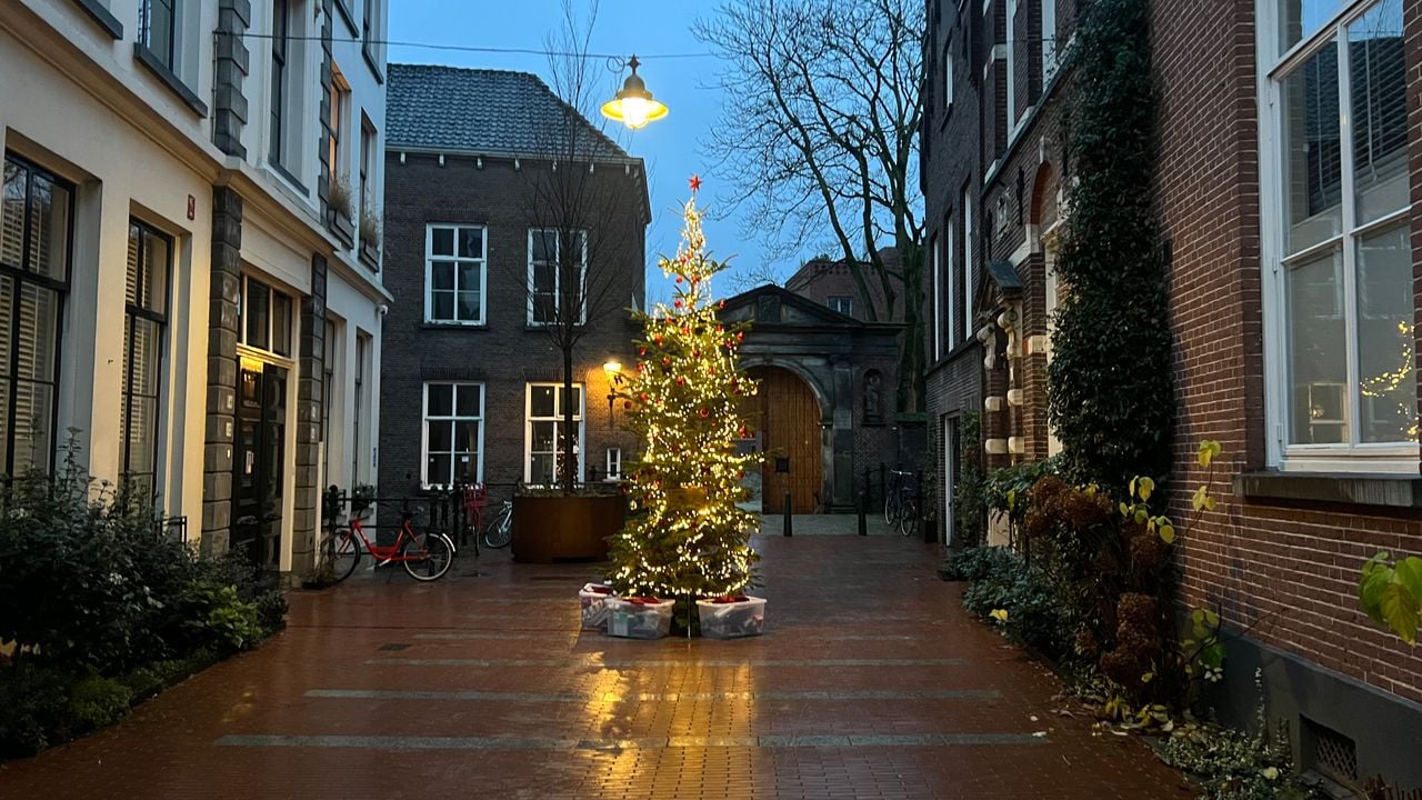 De wisselboom in de Gasthuisstraat in Den Bosch (foto: Megan Hanegraaf).