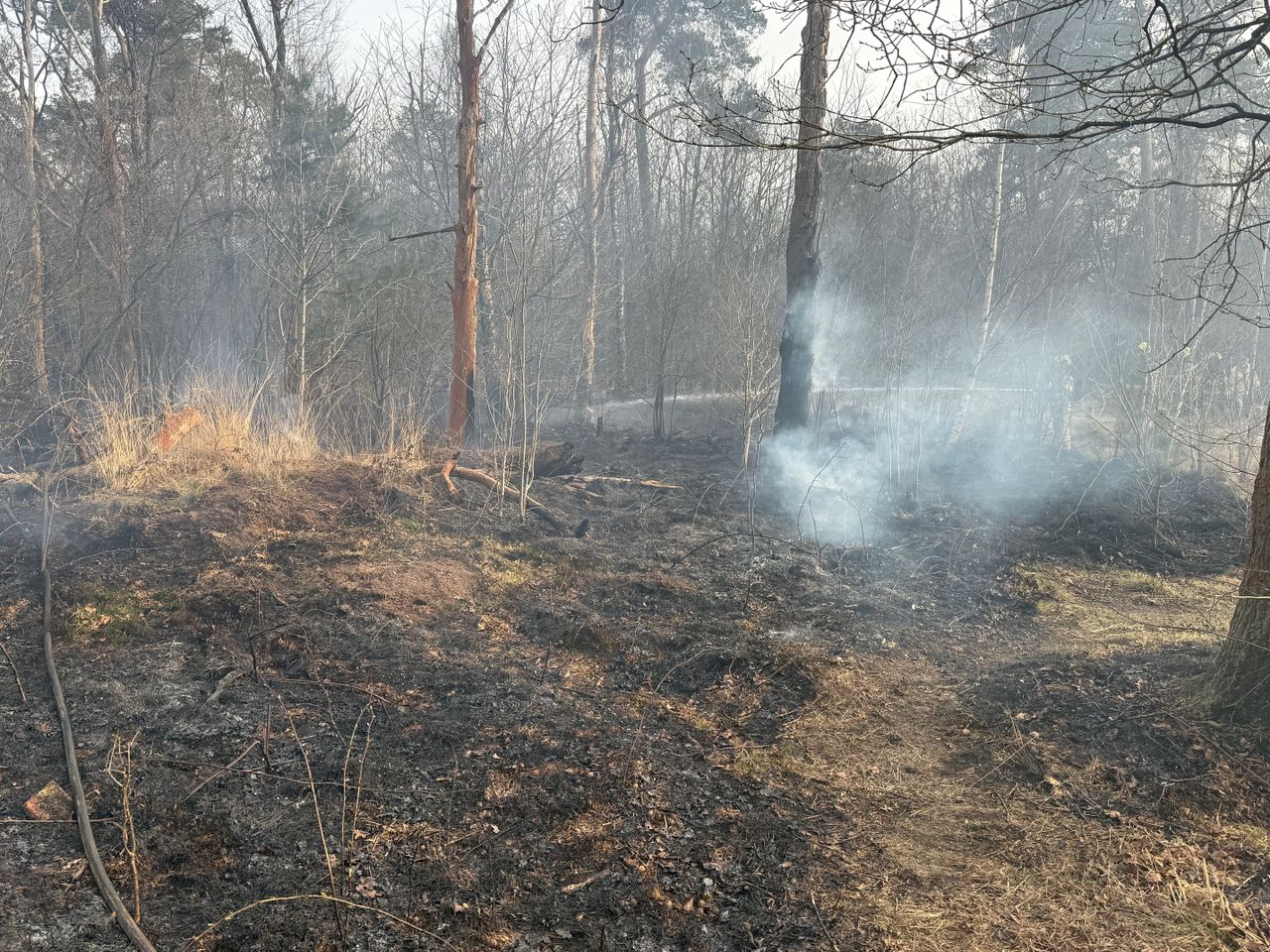 Foto: Bart Meesters/Persbureau Heitink