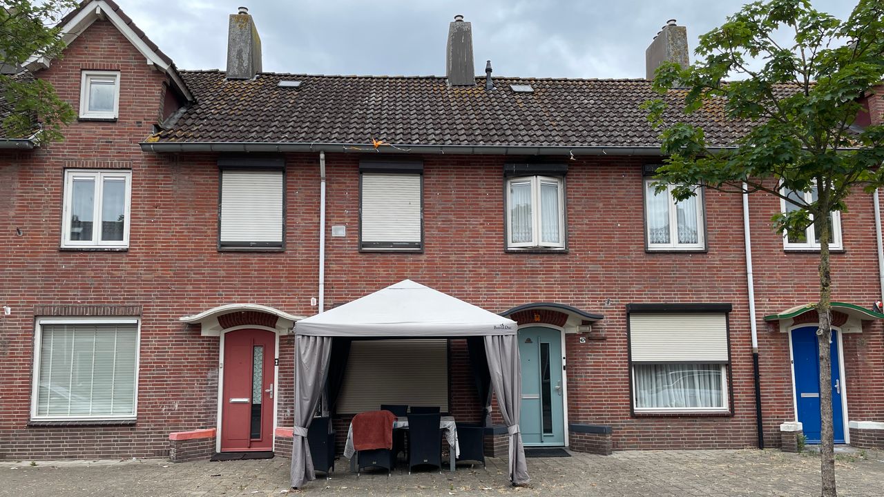 Geen oranje (foto: René van Hoof)