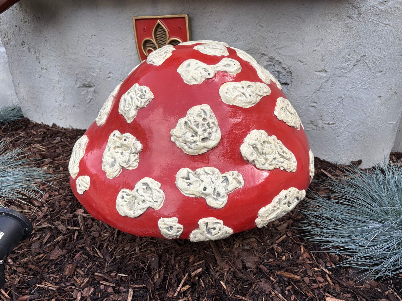 De kenmerkende paddenstoel (foto: Raymond Merkx).