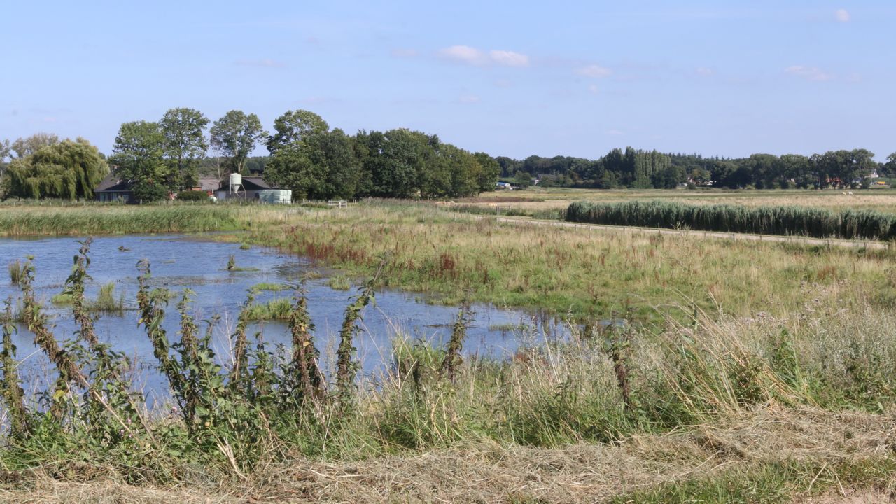 De Noordpolder in Ossendrecht.
