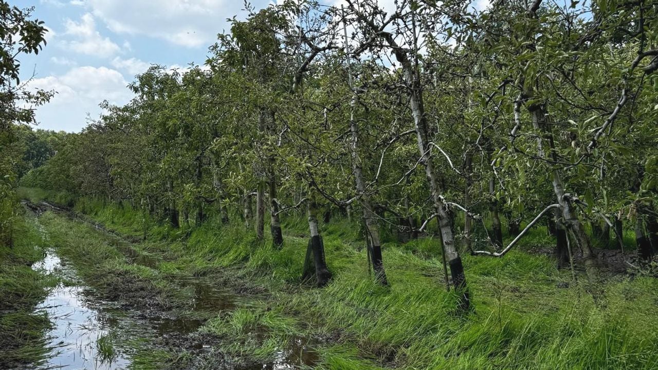 Zo zag de wateroverlast er eerder uit (foto: Carlos Faes).