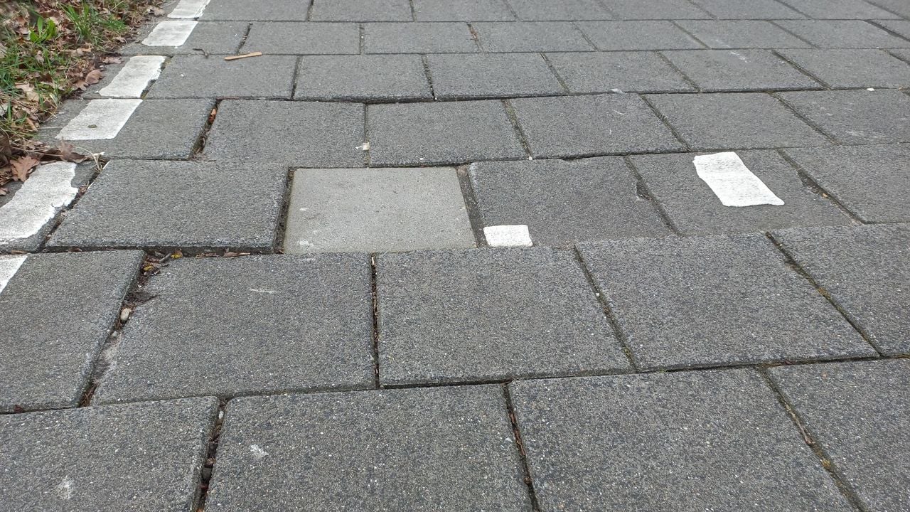 Fietspad tussen Gemert en Boekel (foto: Jolanda Kesseler).