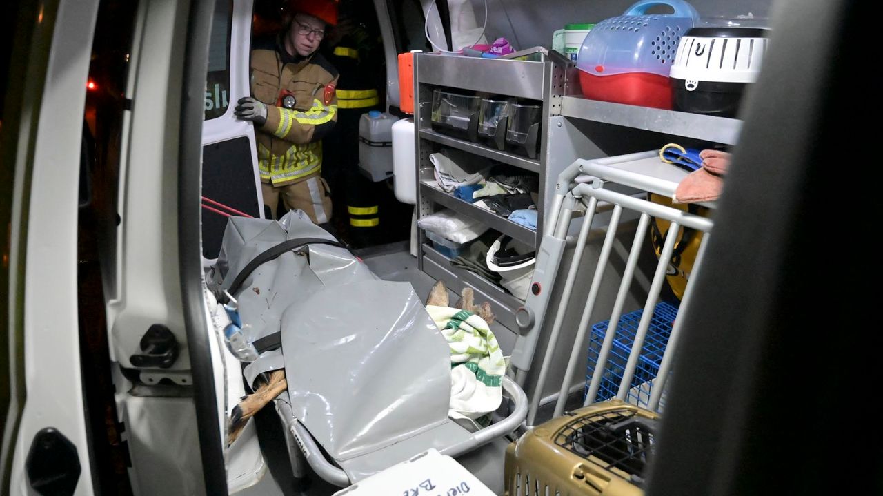 Foto: Perry Roovers/SQ Vision