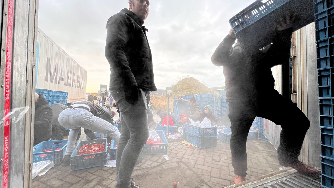 De tomaten waren opgeslagen in een container bij een temperatuur van -21 graden (foto: Zuidwest TV).
