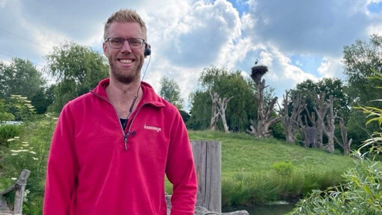 Dierenverzorger Martijn voor het nest van een ooievaar (foto door: Lola Zopfi).