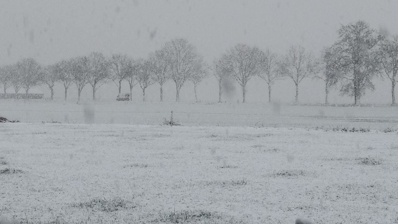 Het werd wit in Molenschot (foto: An Roelen).