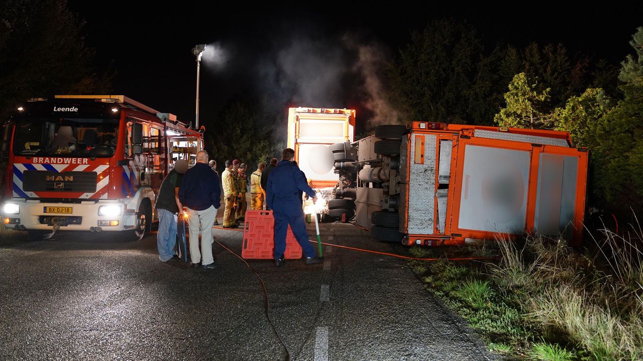 Bij het ongeluk in Leende kwam een groot aantal dieren om het leven (foto: SQ Vision).