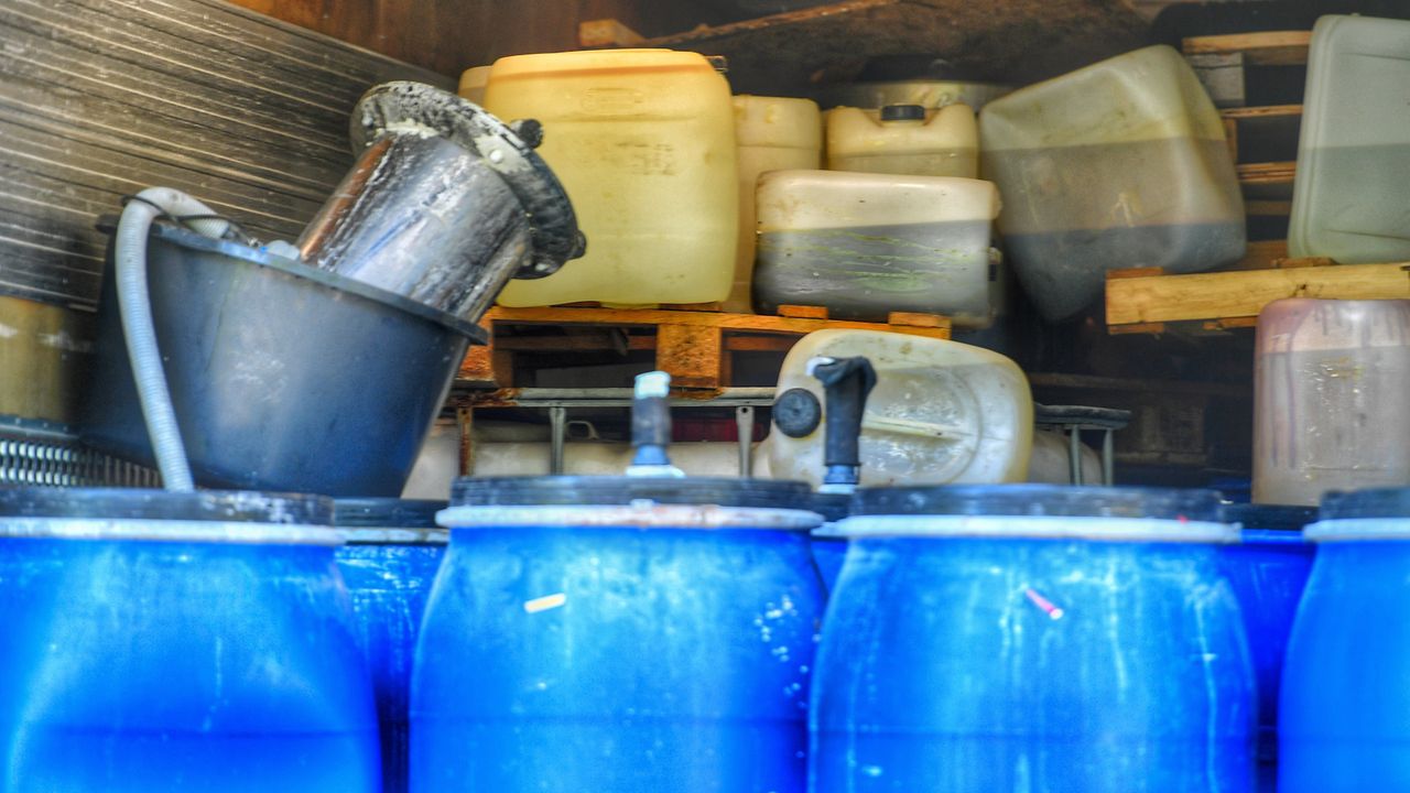 Foto: Rico Vogels/SQ Vision