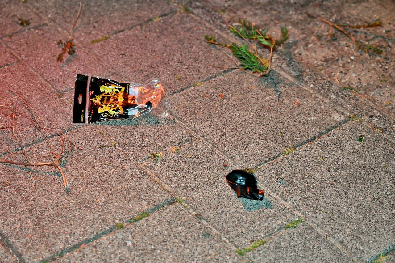 Foto: Toby de Kort/Persbureau Heitink