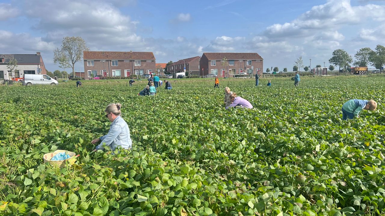De hele buurt is langsgekomen om Joop een hart onder de riem te steken (foto: Megan Hanegraaf).