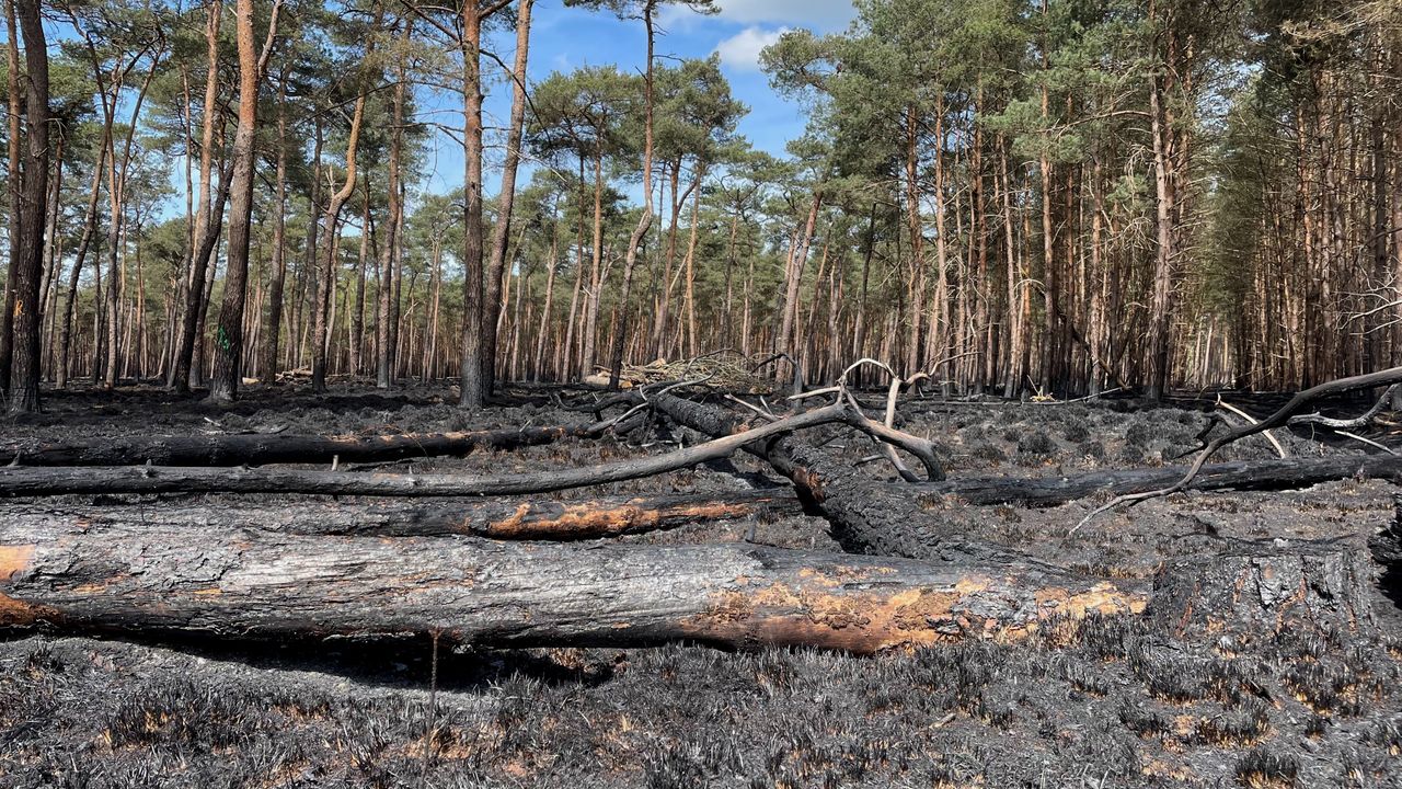 Foto: Imke van de Laar.