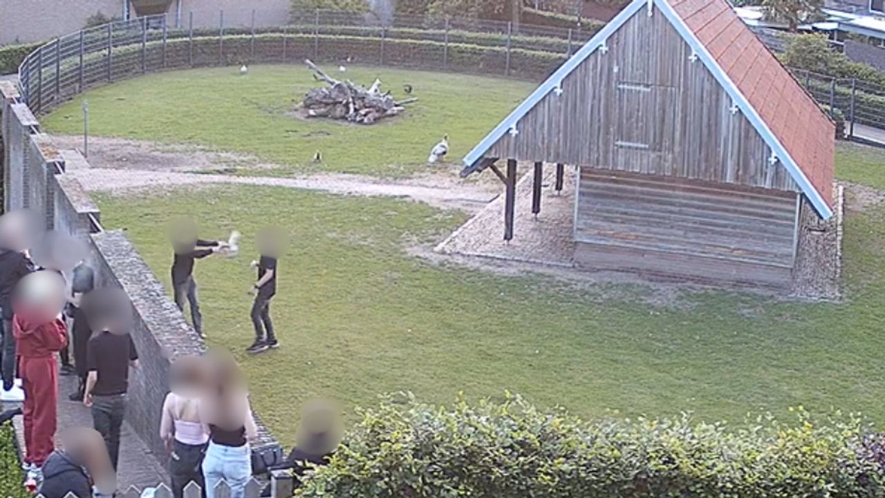 Het tafereel is vastgelegd met bewakingscamera's (foto: bewakingsbeelden privé).