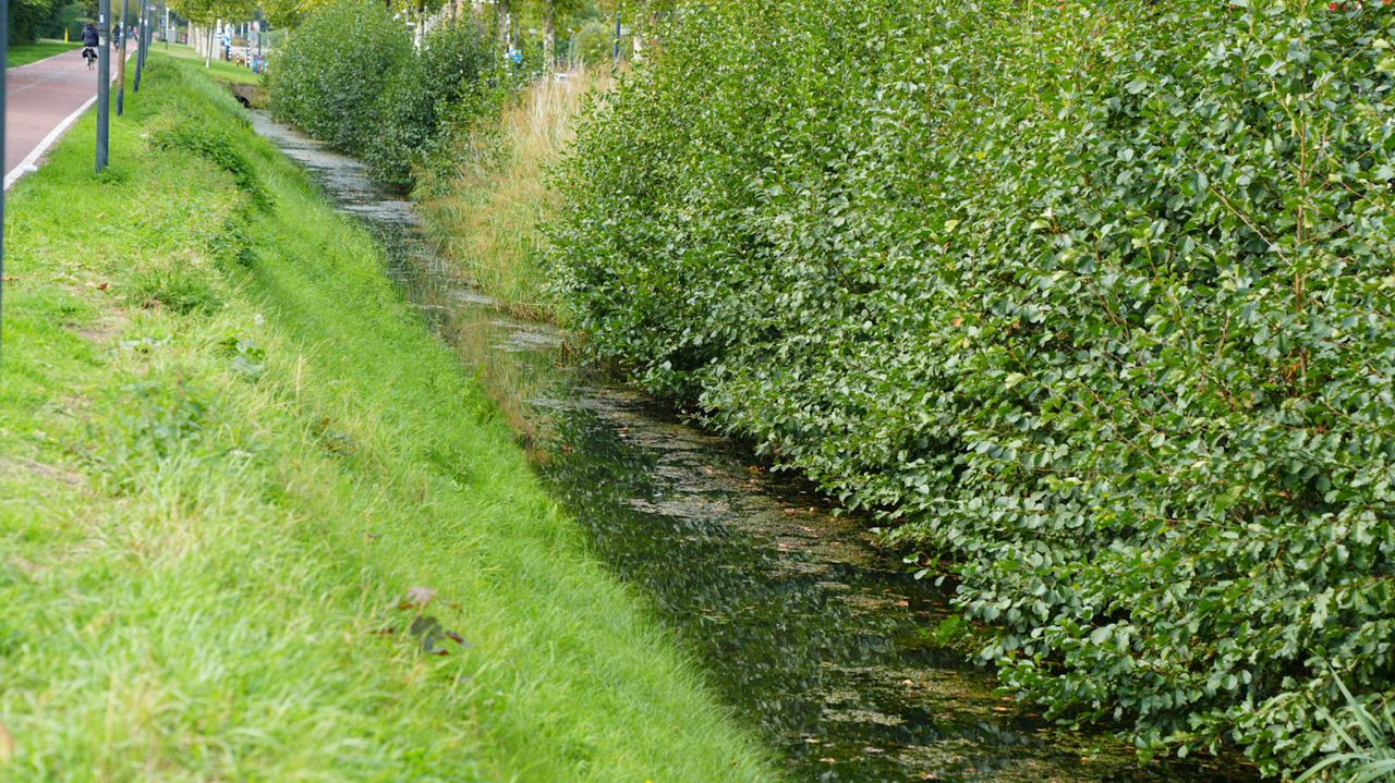 Foto: Erik Haverhals / Persbureau Heitink