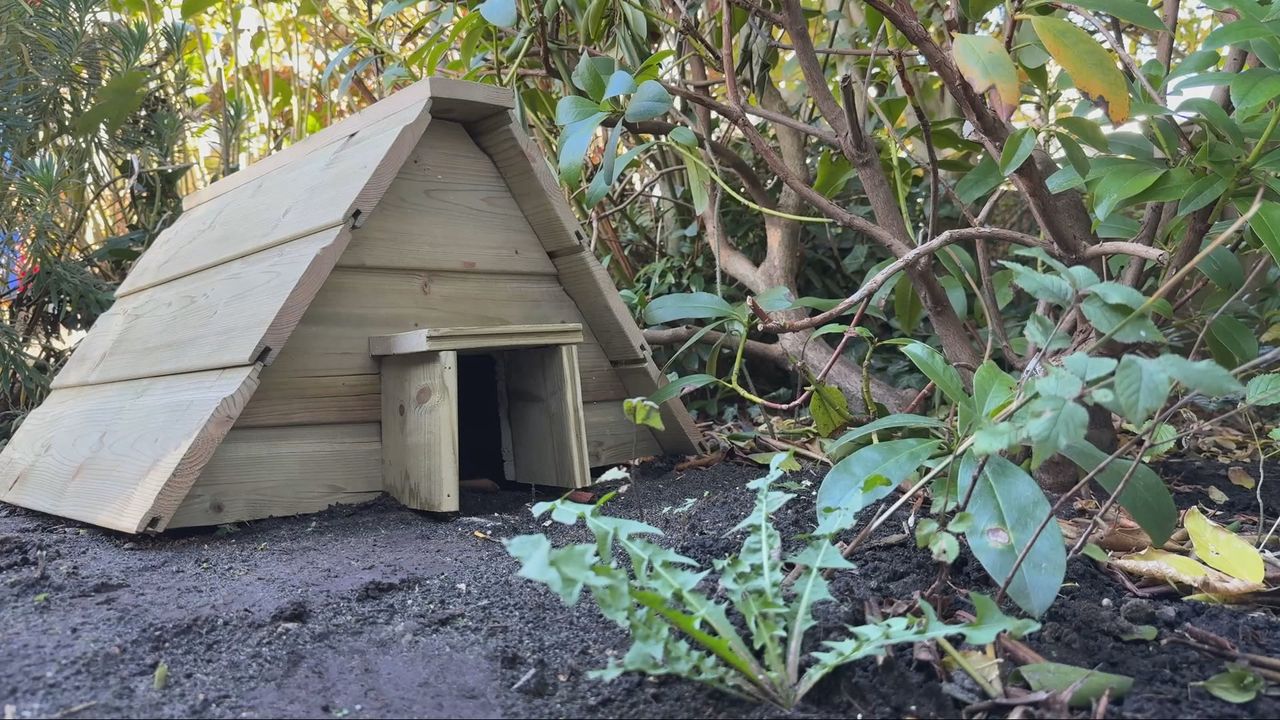 Het egelhuisje heeft een plekje tussen de struiken gekregen (foto: Wilco Zonneveld).