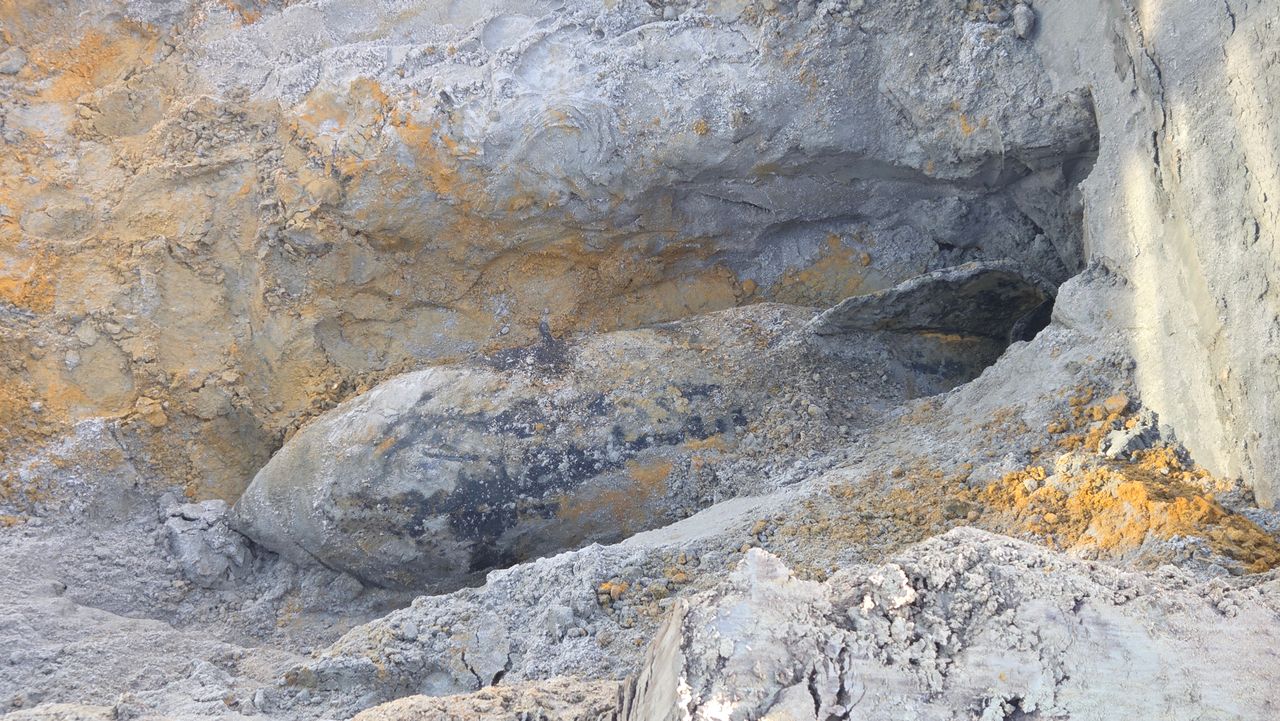 Een Duitse brisantbom in het weiland in Knegsel (foto: Noël van Hooft).