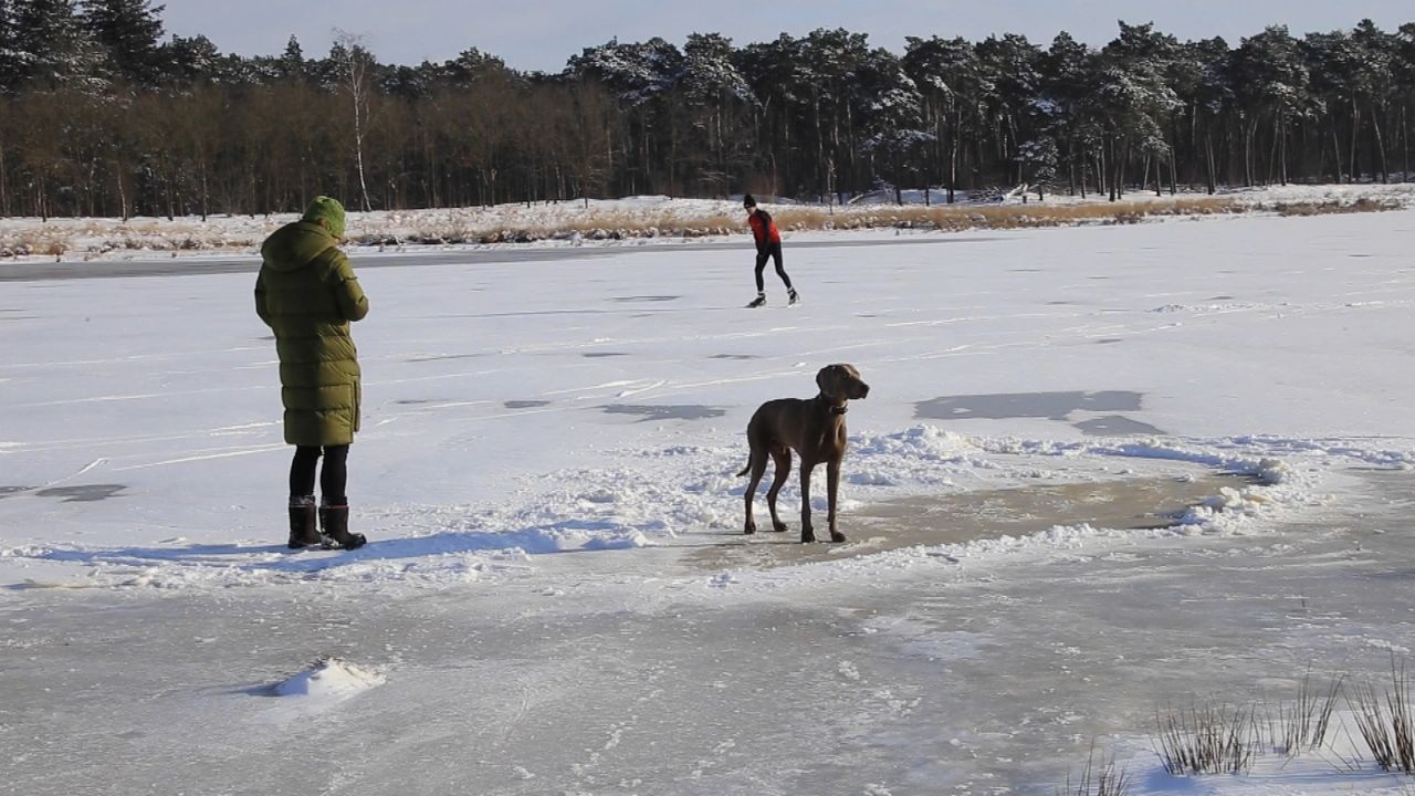 Hond en baas durven het ook aan het ijs op te gaan. (foto:Omroep Brabant).