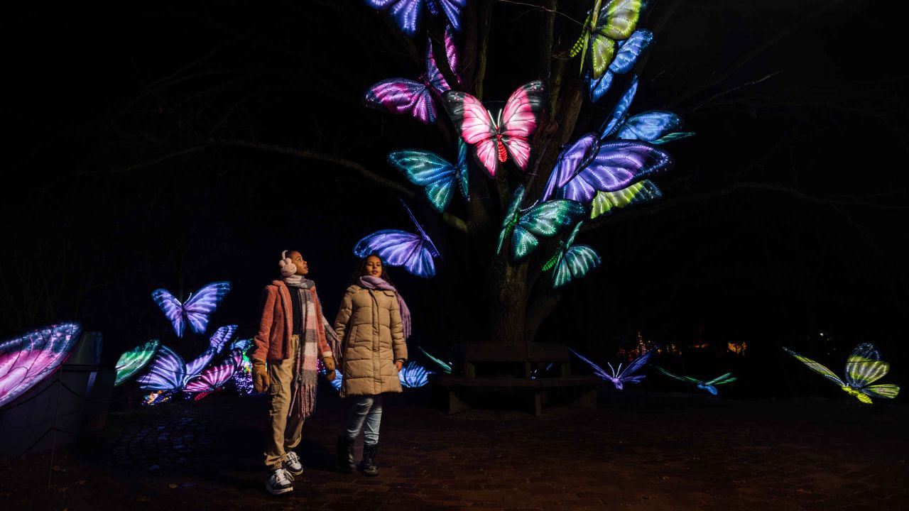 In december vond in safaripark Beekse Bergen de eerste Light Safari plaats (foto: Beekse Bergen).