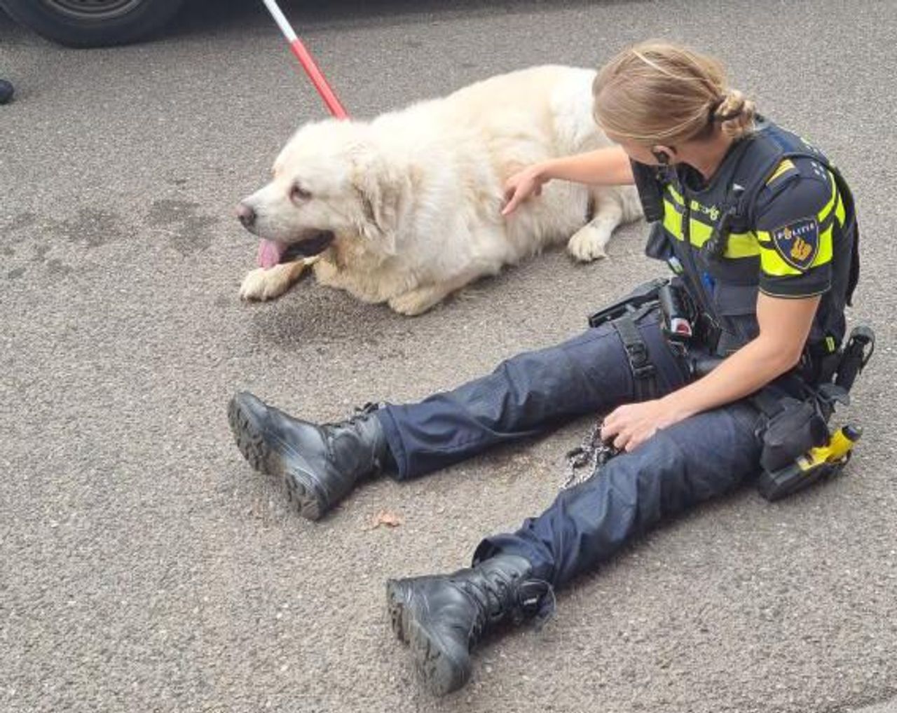 (Bron: Politie Tilburg)