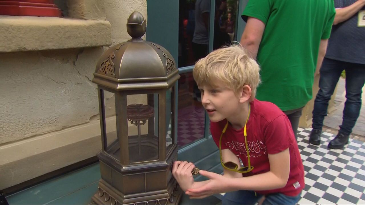 De erwt zit onder de stolp (foto: Jos Verkuijlen).